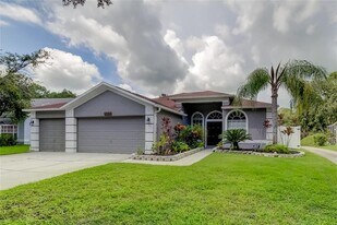 12943 Royal George Ave in Odessa, FL - Building Photo