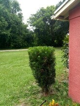 509 E Magnolia St in Kissimmee, FL - Building Photo - Building Photo