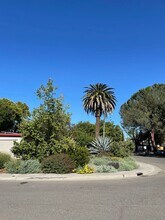 902 Gregory Pl in Davis, CA - Building Photo - Building Photo