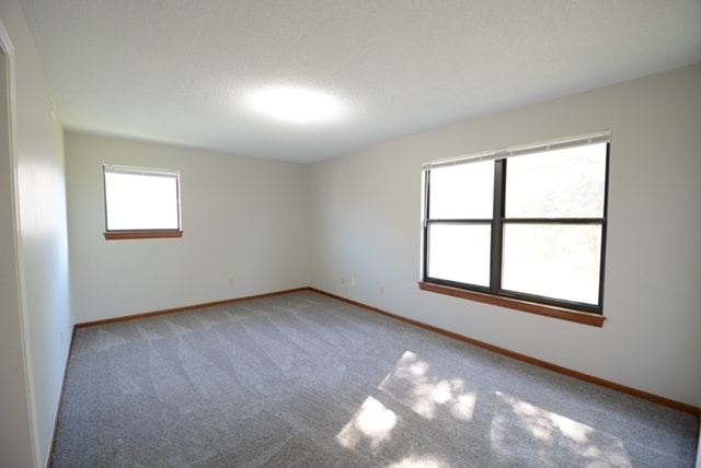 1023 NE Lindsay Ave, Unit C in Lee's Summit, MO - Building Photo - Building Photo