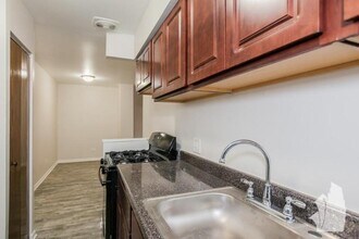 1040 W Hollywood Ave in Chicago, IL - Building Photo - Building Photo