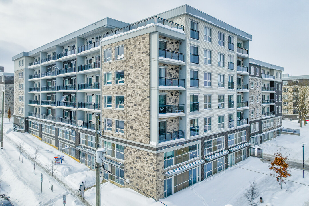 275 Larch St in Waterloo, ON - Building Photo