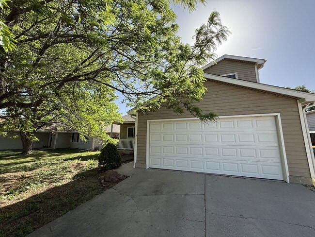 739 Ponderosa Dr in Windsor, CO - Building Photo - Building Photo