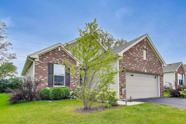 1101 Black Cherry Dr in Crystal Lake, IL - Building Photo - Building Photo