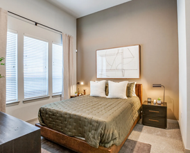 8801 Carolina Wren Wy in Frisco, TX - Foto de edificio - Building Photo