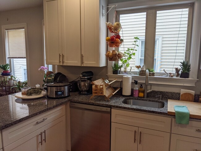 113 W 3rd St, Unit 113 3rd Street in Boston, MA - Building Photo - Building Photo