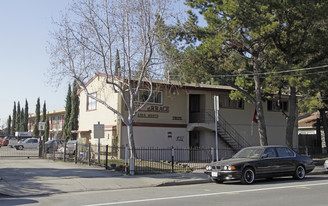 Bart Terrace Apartments