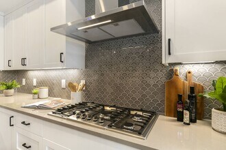 221 E Mountain Ave, Unit 311 in Fort Collins, CO - Building Photo - Building Photo