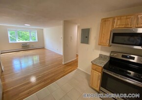 63 Parkman St, Unit 1A in Brookline, MA - Building Photo