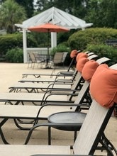 Forest Pointe in Walterboro, SC - Building Photo - Building Photo