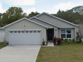 1084 E Pierce Ave in Pine Castle, FL - Building Photo