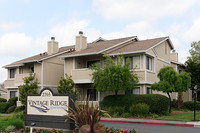 Vintage Ridge Apartment Homes in Santa Rosa, CA - Building Photo - Building Photo