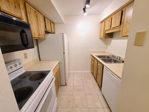 4034 Dream Oak Pl in Tampa, FL - Building Photo - Building Photo
