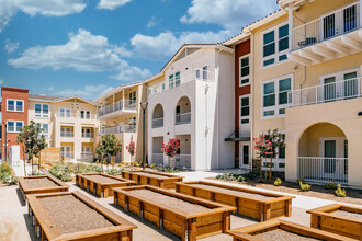 Twin Oaks Senior in Oakley, CA - Building Photo - Building Photo