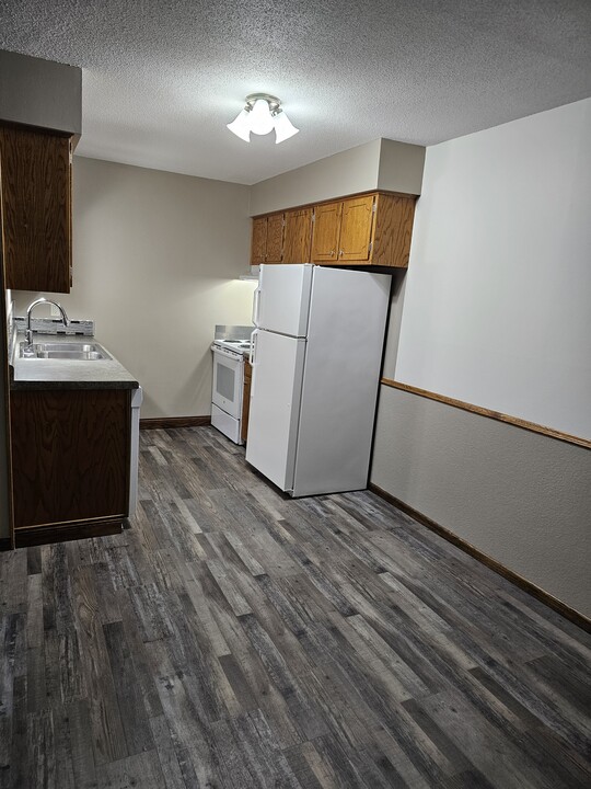 551 18th St E in Hastings, MN - Building Photo