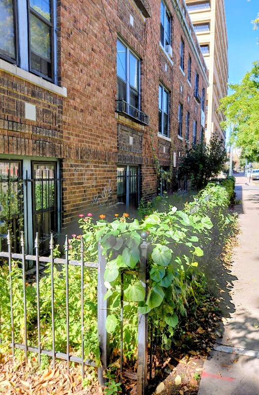 440 E 13th Ave in Denver, CO - Building Photo - Building Photo