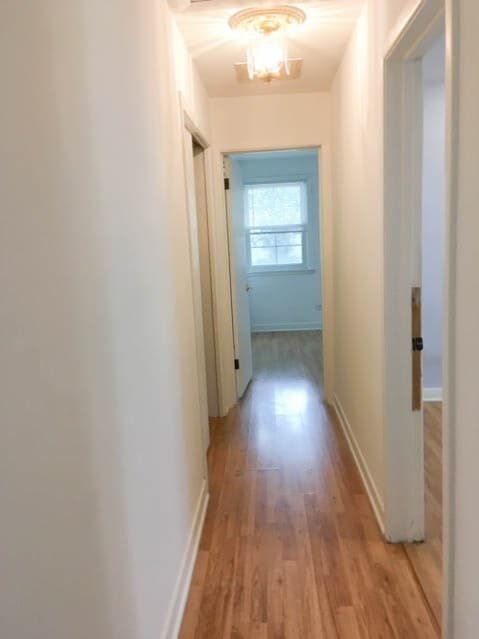 817 Goodwin Dr in Park Ridge, IL - Building Photo - Building Photo