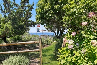 29 Bittersweet Ln in Sag Harbor, NY - Building Photo - Building Photo