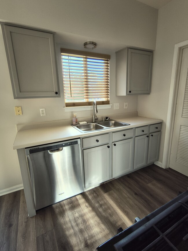 22241 W Niagara Trl in Plainfield, IL - Building Photo - Building Photo