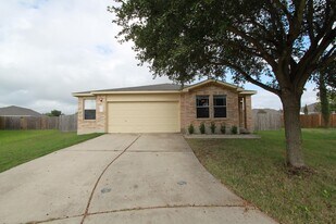 220 Madison Ln in Hutto, TX - Building Photo