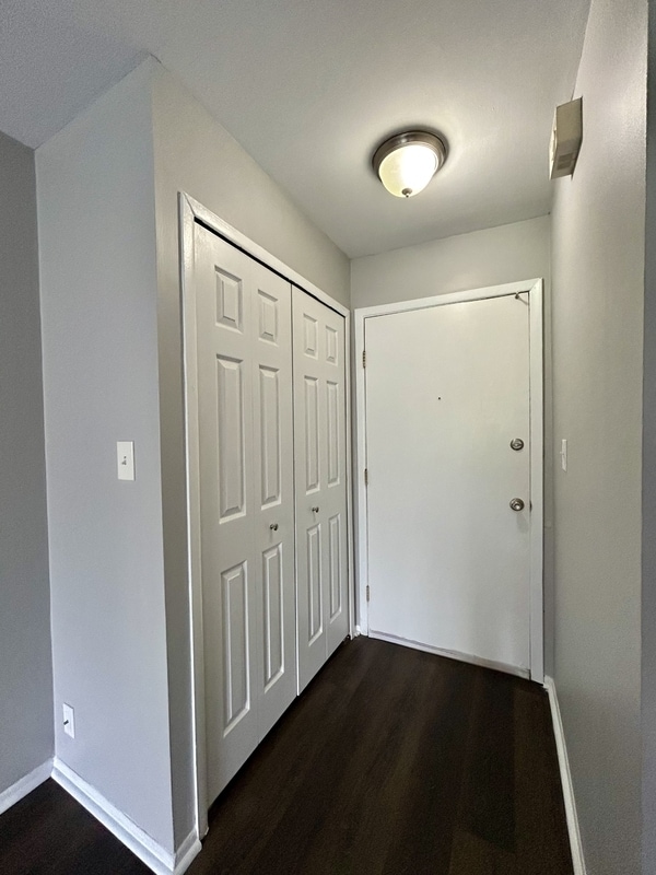 249 Chestnut St in Wyandotte, MI - Building Photo - Building Photo