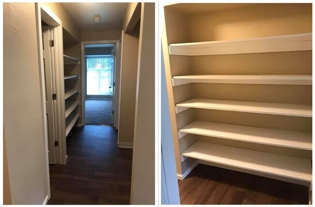 7245 32nd Ave NE in Lacey, WA - Building Photo - Building Photo