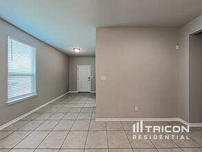 301 Spanish Foal Trail in Georgetown, TX - Building Photo - Building Photo