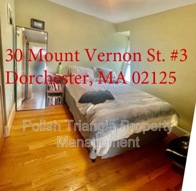 property at 30 Mt Vernon St