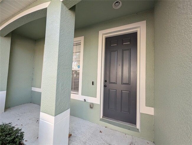 11674 Declaration Dr in Tampa, FL - Building Photo - Building Photo