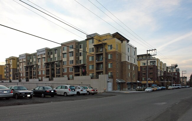 The Cambridge Apartments in Seattle, WA - Building Photo - Building Photo