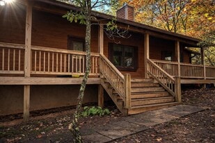 233 Wildwind Ln in Blairsville, GA - Building Photo