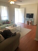 224 Cook St in Auburn, AL - Building Photo