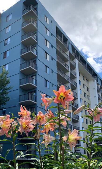 3800 Powell Ln, Unit 10th floor in Falls Church, VA - Building Photo