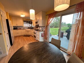 714 Poppy Pl in Highlands Ranch, CO - Building Photo - Building Photo