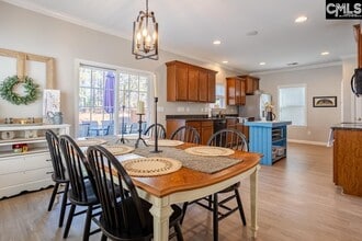 233 Jackstay Ct in Chapin, SC - Building Photo - Building Photo
