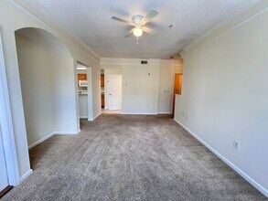 12216 Wild Iris Way in Orlando, FL - Building Photo - Building Photo