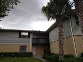 222 Red Maple Pl in Brandon, FL - Building Photo
