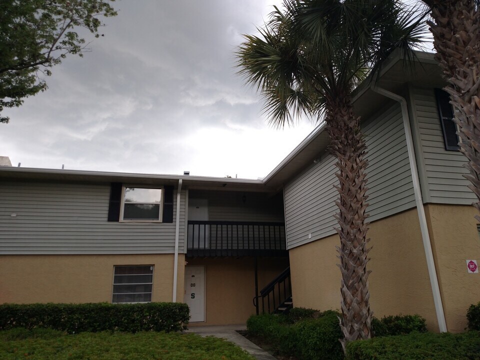 222 Red Maple Pl in Brandon, FL - Foto de edificio