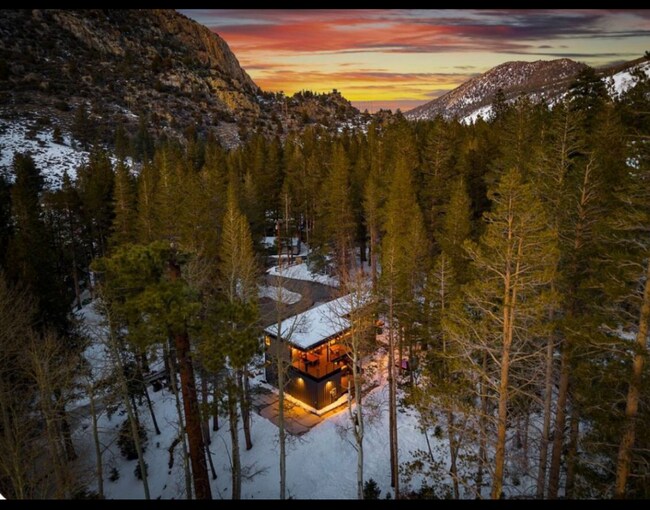 19 Willow Ave in June Lake, CA - Foto de edificio - Building Photo