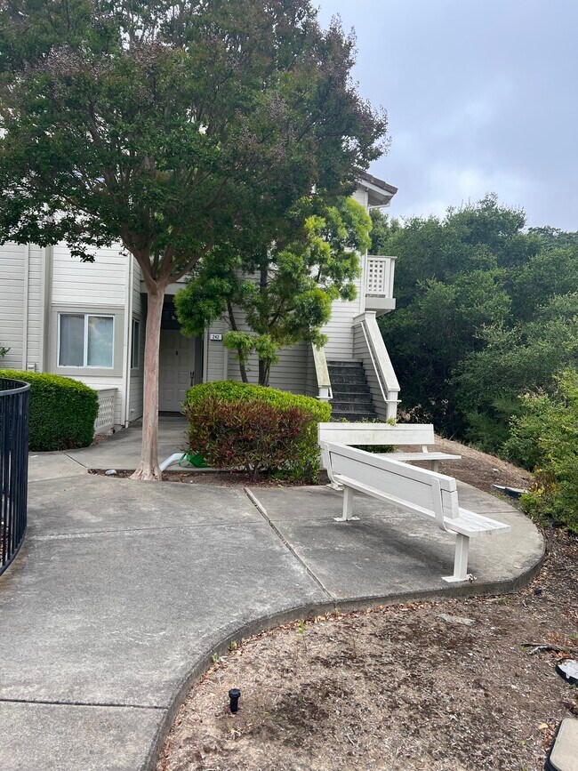 250 Napoli Ct Rentals in Hercules, CA