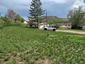 2904 Black Fox Run Ln in Loveland, CO - Building Photo - Building Photo