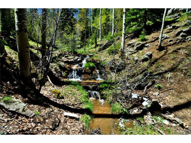 97 Pawnee Trl, Unit MtnLiving- includes Utils in Evergreen, CO - Building Photo - Building Photo