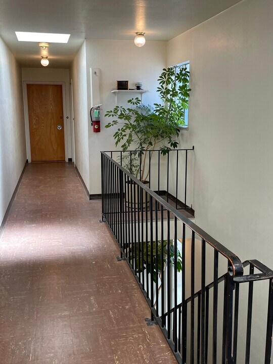 696 36th Ave, Unit 204 in San Francisco, CA - Building Photo
