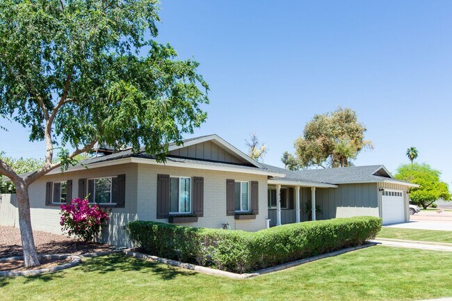 2824 N 81st Way in Scottsdale, AZ - Building Photo - Building Photo