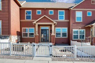 3745 Tranquilty Trail in Castle Rock, CO - Building Photo