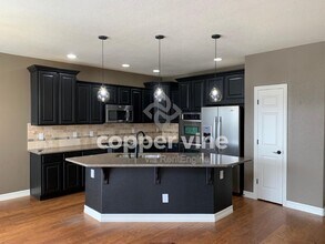 4861 Raven Run in Broomfield, CO - Building Photo - Building Photo