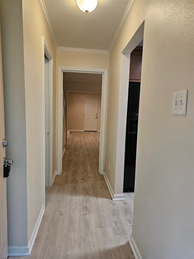 1809 Saxony Ln in Houston, TX - Building Photo - Building Photo