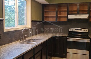 513 Lakewood Rd in Branson, MO - Building Photo