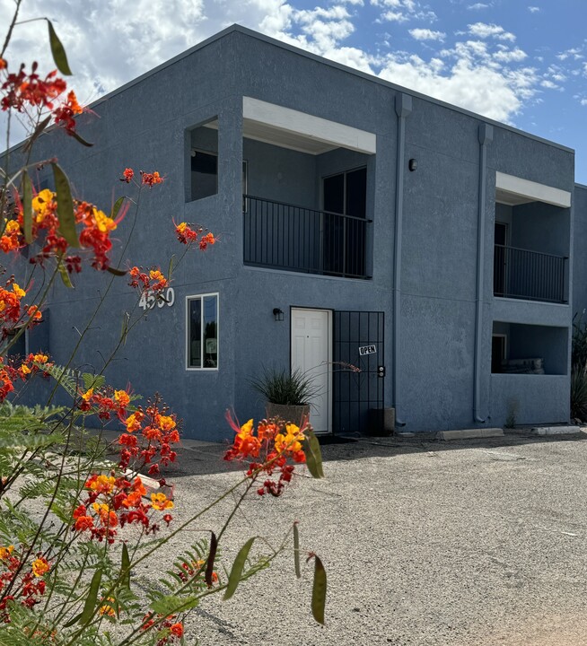 Pine Tree Village Apartments in Tucson, AZ - Building Photo