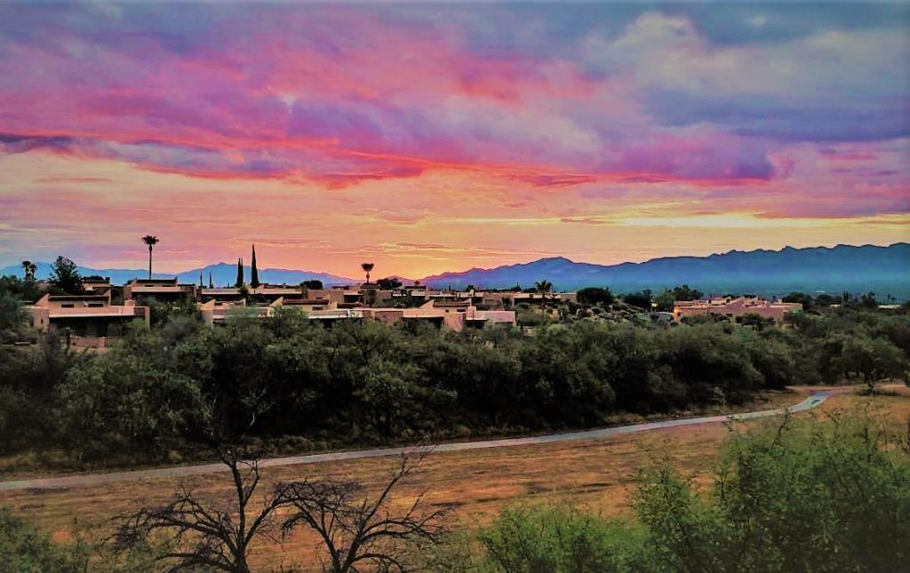 1730 W Camino Urbano in Green Valley, AZ - Building Photo